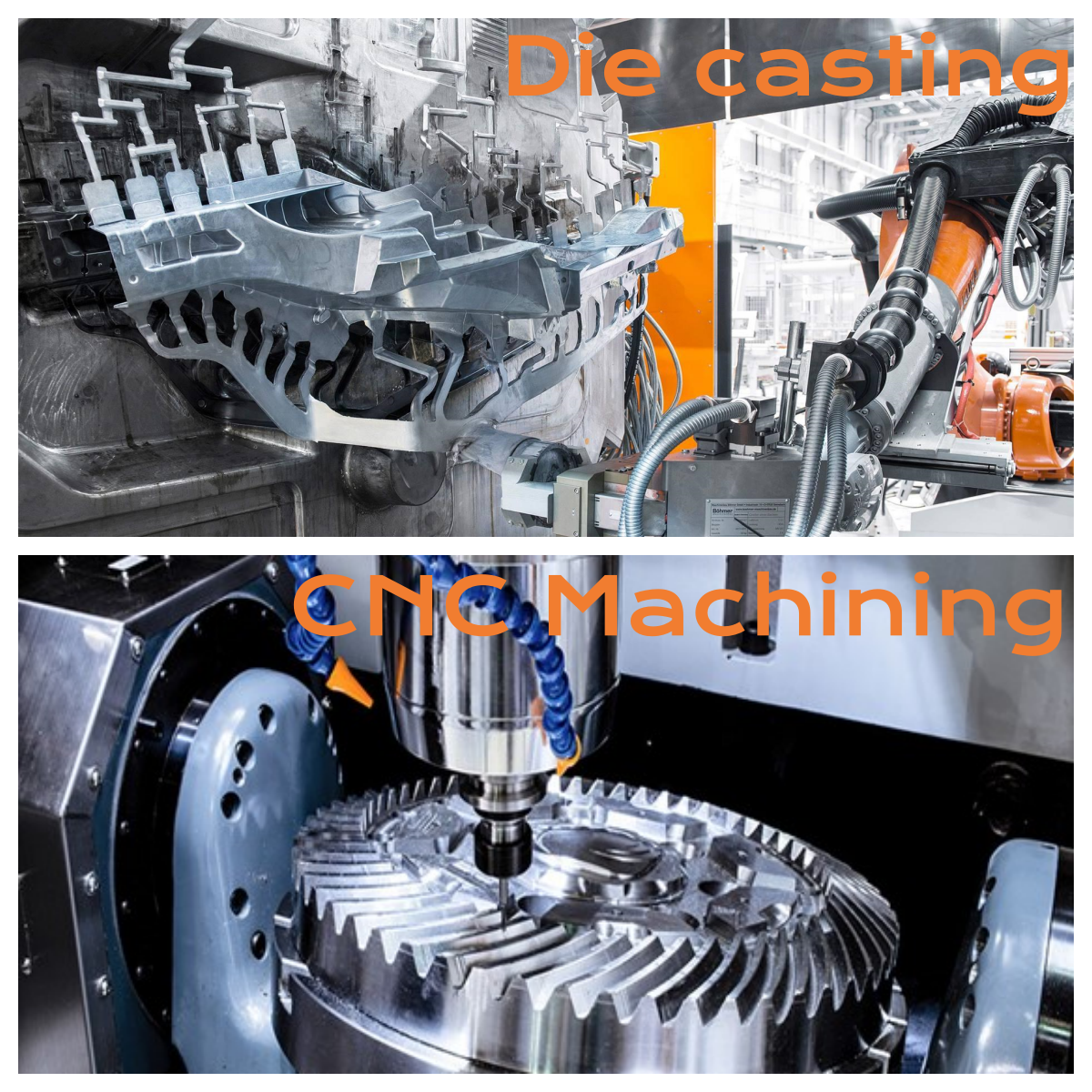 No se ha encontrado ninguna imagen.